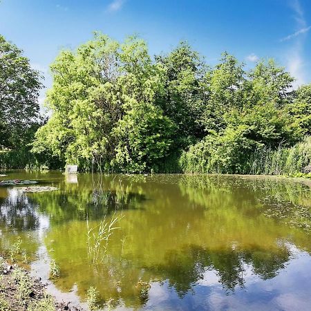 Holiday Home Sibo - 1-5Km From The Sea In Lolland- Falster And Mon By Interhome 스테지 외부 사진